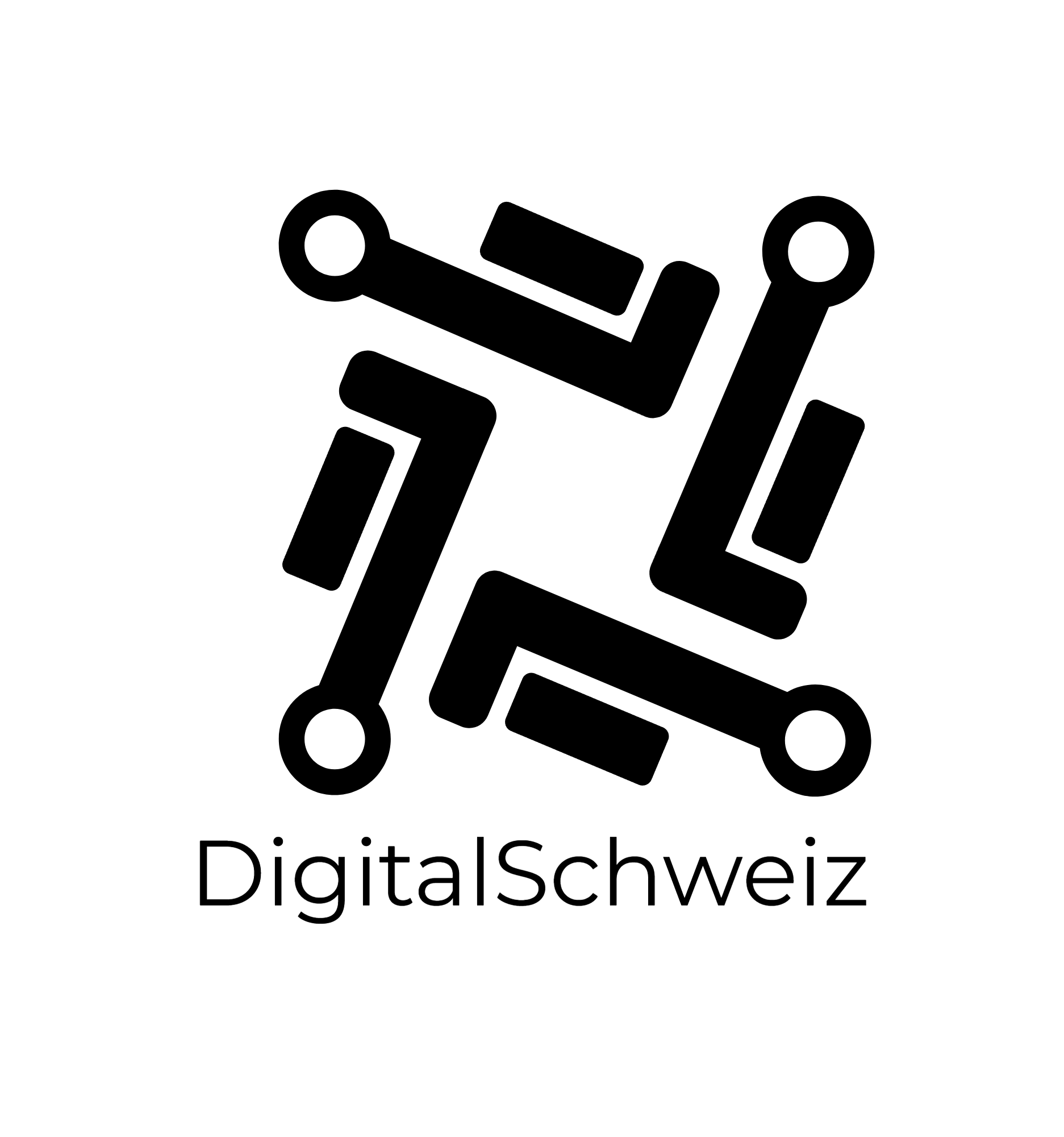 DigitalSchweiz Logo